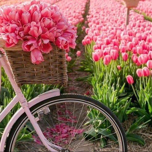 Meet your Posher, Barbara🌺 - Picture 1 of 2